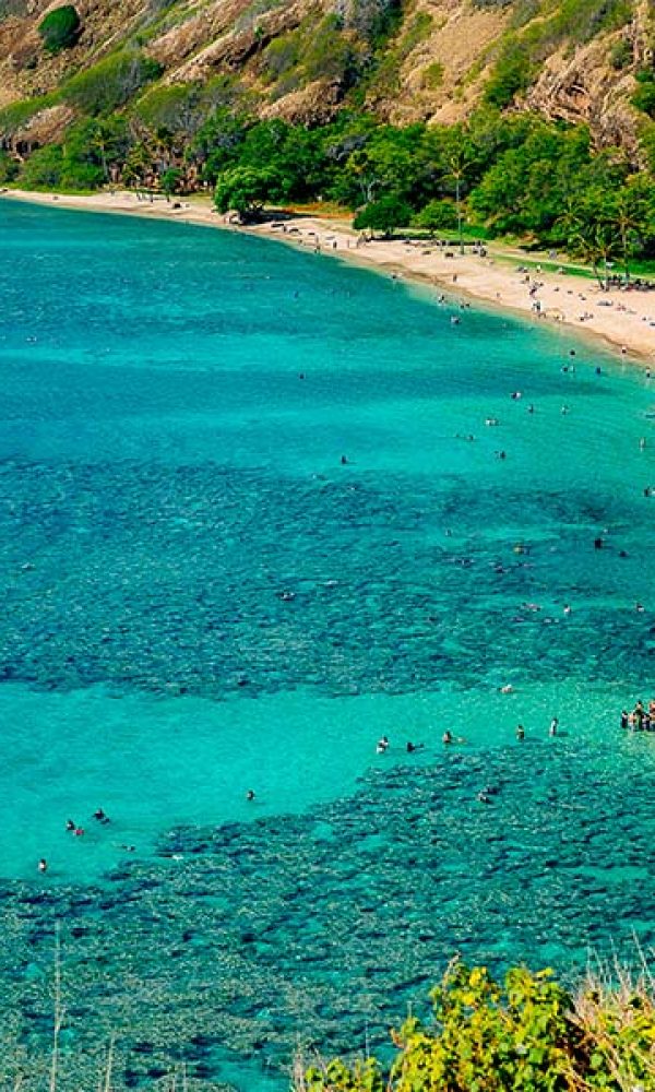 Trash free hawaii oahu